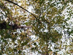 -重庆鱼美佳火锅(四川师大店)