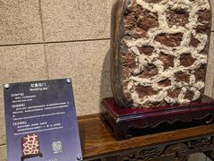 -中华赏石园