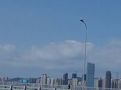 -星海湾跨海大桥