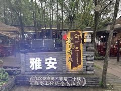-土砂锅生态山庄·非遗砂锅雅鱼