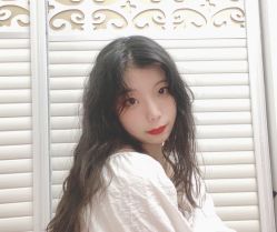 -蚂蚁造型沙龙