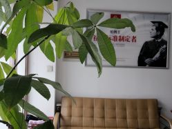 -痘博士昆明·国际祛痘领跑品牌