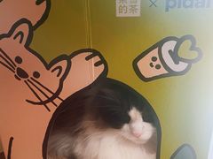 -奈雪的茶(中粮祥云小镇店)