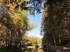 -上海共青森林公园