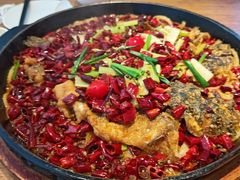 -老板恋上鱼(恒隆广场店)