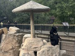 -石家庄市动物园