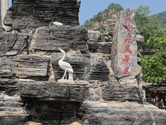 -大岭沟猕猴桃谷风景区