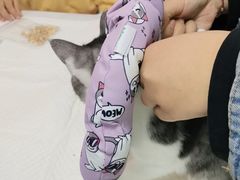 -宠颐生·恒爱宠物医院(静海店)