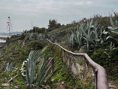 -漳州滨海火山岛自然生态风景区