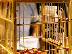 -新悦·霞浦海鲜生(上下杭店)