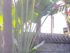 -陈家祠堂-游客中心