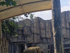 -成都动物园