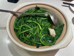 -煲煲好(朝阳门店)