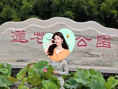 -莲花池公园