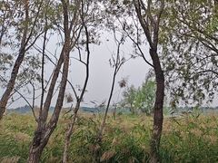 -绿堤公园