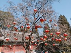 -香山公园