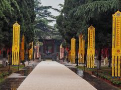 -函谷关历史文化旅游区