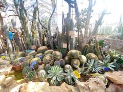 -国家植物园南园