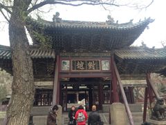 -晋祠公园