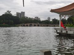 -荔湾湖公园