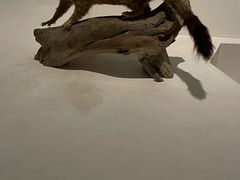 -重庆自然博物馆(新馆)