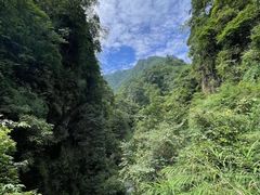 -峨眉山风景名胜区