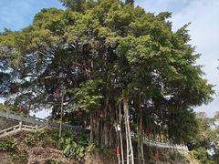 -船政文化景区-罗星塔公园
