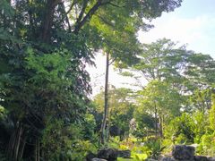 -东莞植物园