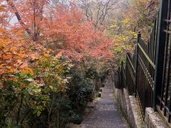 -紫金山山顶公园