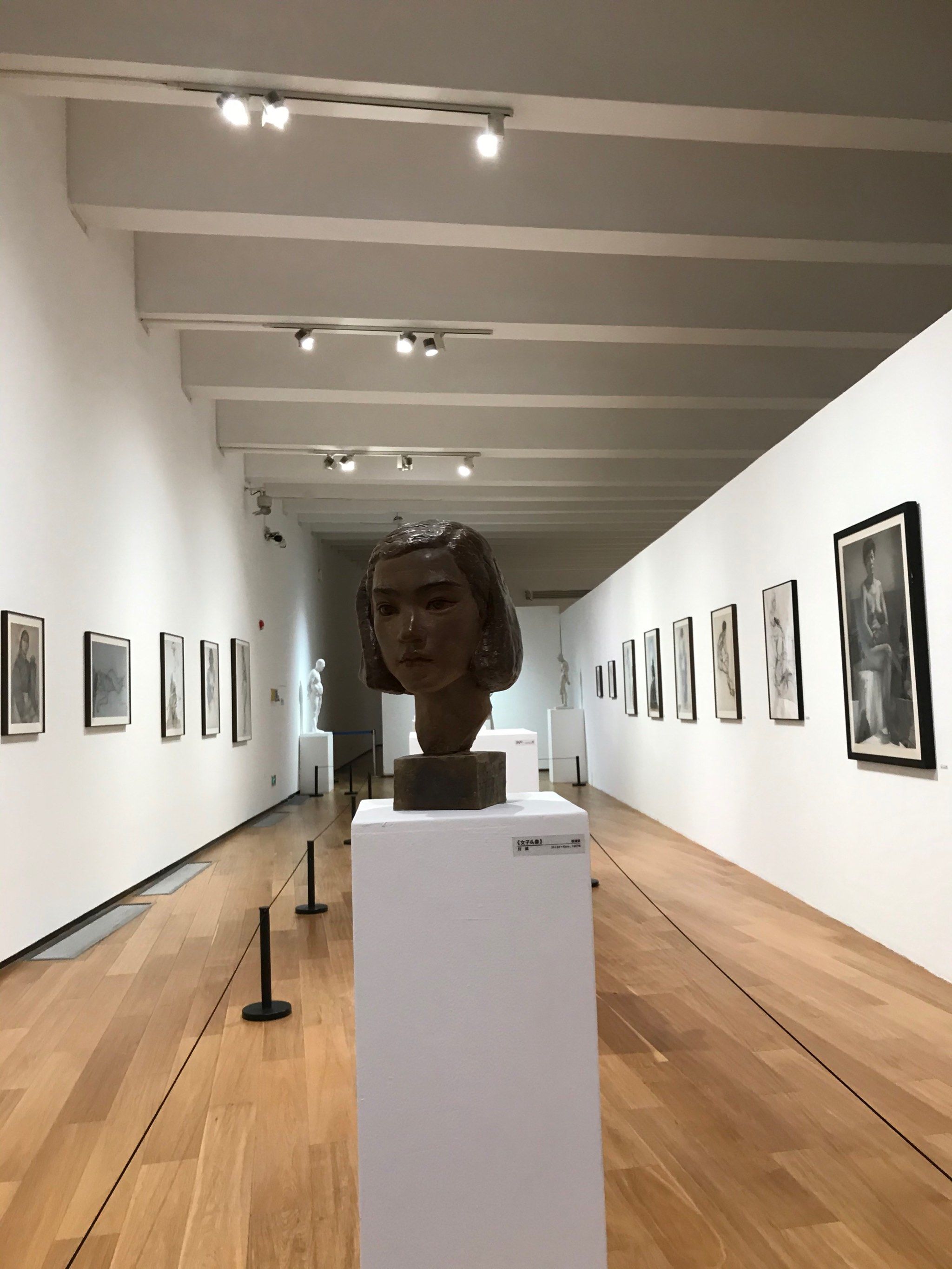 川美雕塑系70周年展