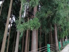 -太阳湾风景区
