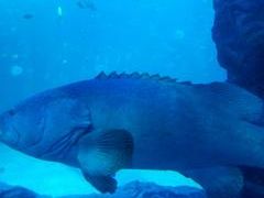 -多彩贵州城极地海洋世界