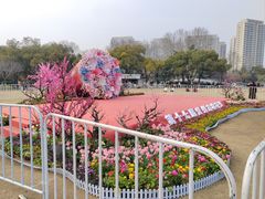 -红梅公园
