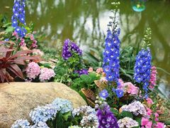 -人民公园(罗湖区)