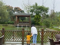 -成都安仁福朋喜来登酒店