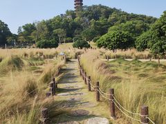 -红花山公园