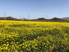 -西海岸生态观光园