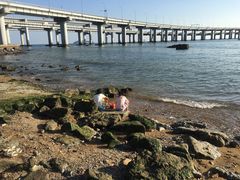 -星海湾跨海大桥