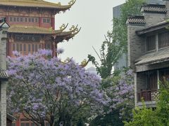-龙潭水乡
