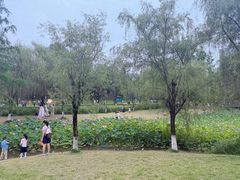-沐仙湖湿地公园