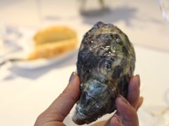 -Oyster Talks 四度蚝法餐厅