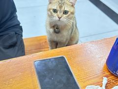 -十里铺铁板鱿鱼