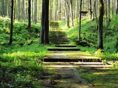 -武陵山森林公园