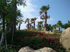 -瑶湖郊野森林公园