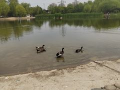-太阳宫公园