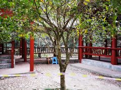 -太湖源风景区