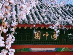 -桃花堤公园
