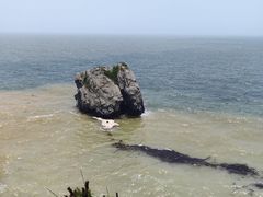 -大连金石滩滨海国家地质公园