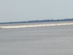 -观潮胜地公园