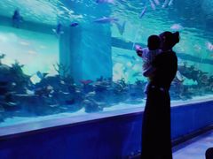 -常州海昌海洋探索馆